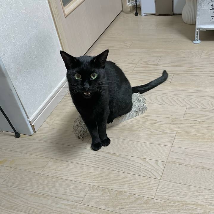 9c98e351 ddd2 418b 993a 99542813fe6c 1649674447903