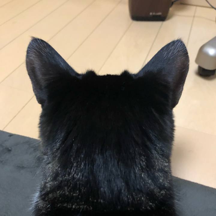 9c98e379 a609 4690 8d4c 04f37d05a336 1612210947902