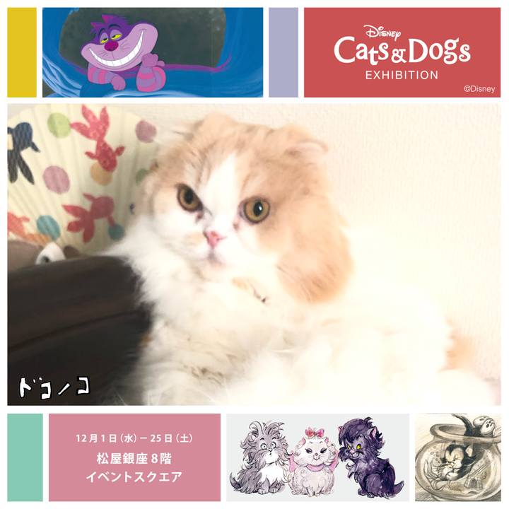 9c98fbd5 6bed 4349 8b16 a21ee397e9e0 1638349799295