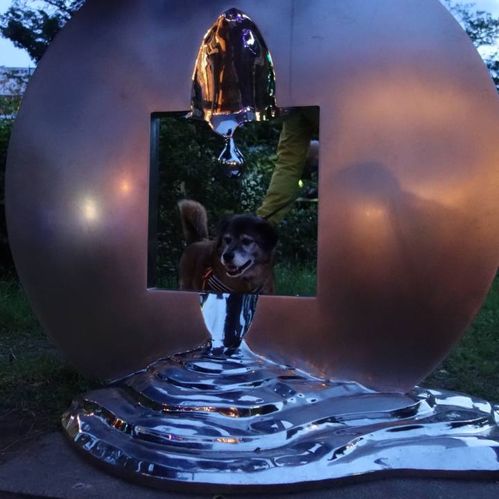 9c9990d9 0033 4e18 abd7 675717a7c5c6 1558184978901