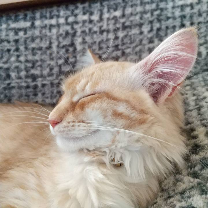 9c999f4c 2213 44a9 a7a1 926dec9ba5ef 1612054058996