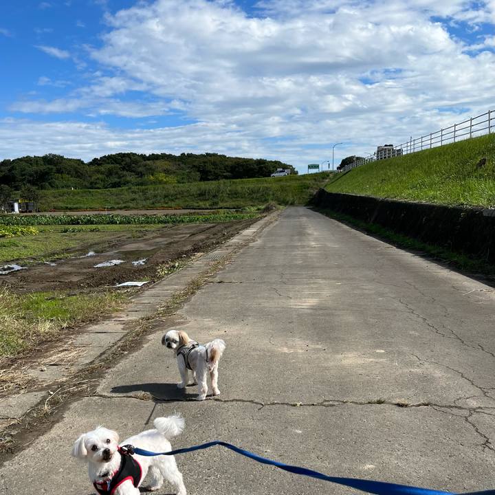 9c99bf68 a588 4910 b15d ccbe813b2664 1665715161916