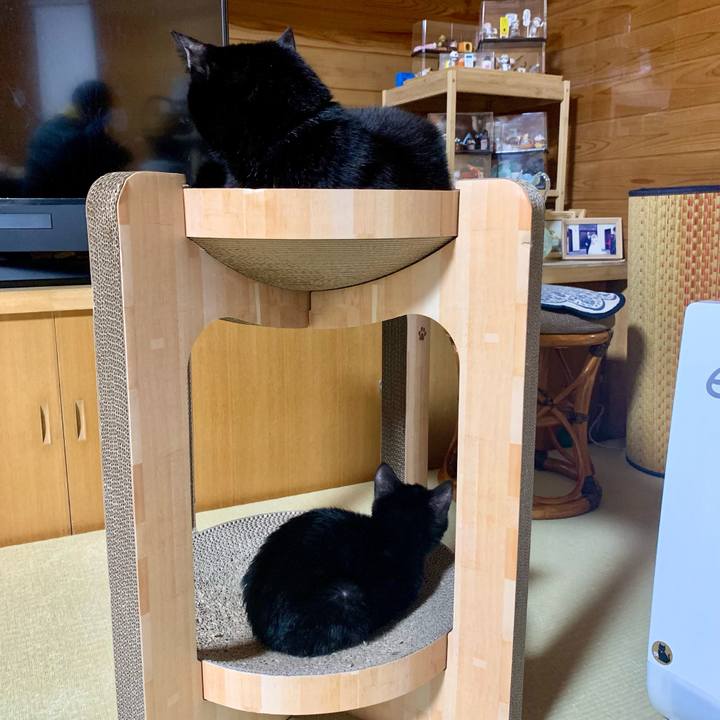 9c99d7e3 2963 4c4a bc96 1a8e5e2ec221 1642344243137