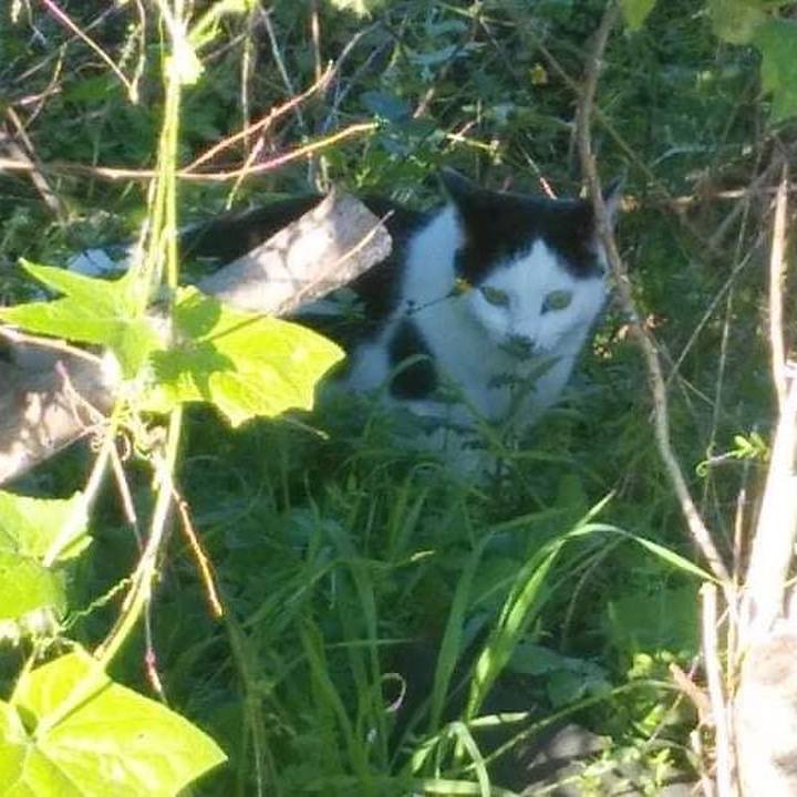 9c9a1226 788f 4acf 8ca2 801260a4f375 1635506074850