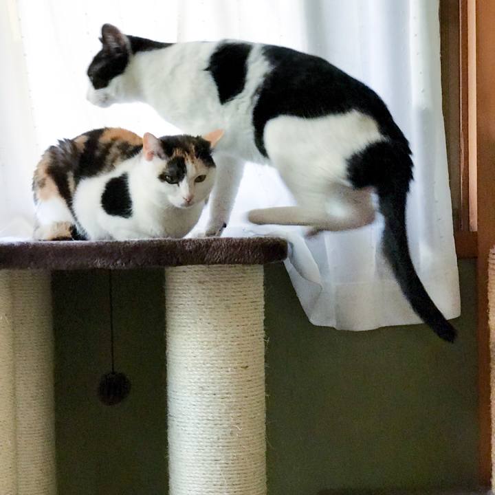 9c9a29ea 1201 4701 89ba f4eadeedcf99 1524962440406