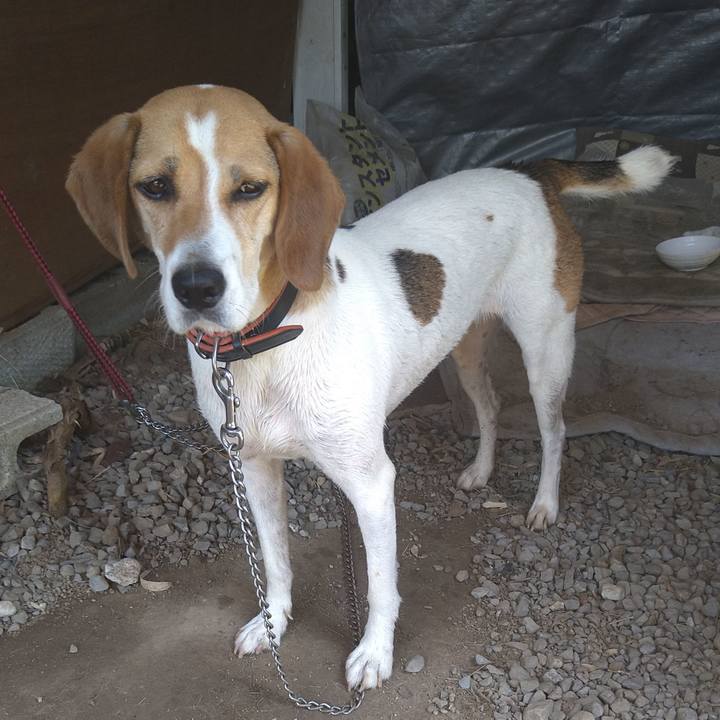 9c9a2bc2 8d52 4ff4 a052 d3d70852a450 1626755985225