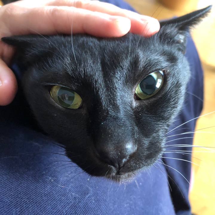 9c9a2c5b 3179 4c1a 8ec2 197613c116db 1712264893708