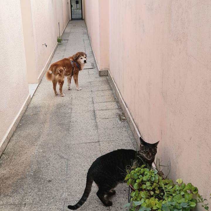 9c9a32d8 b482 4393 9d24 65ded65e8a5b 1763259102609