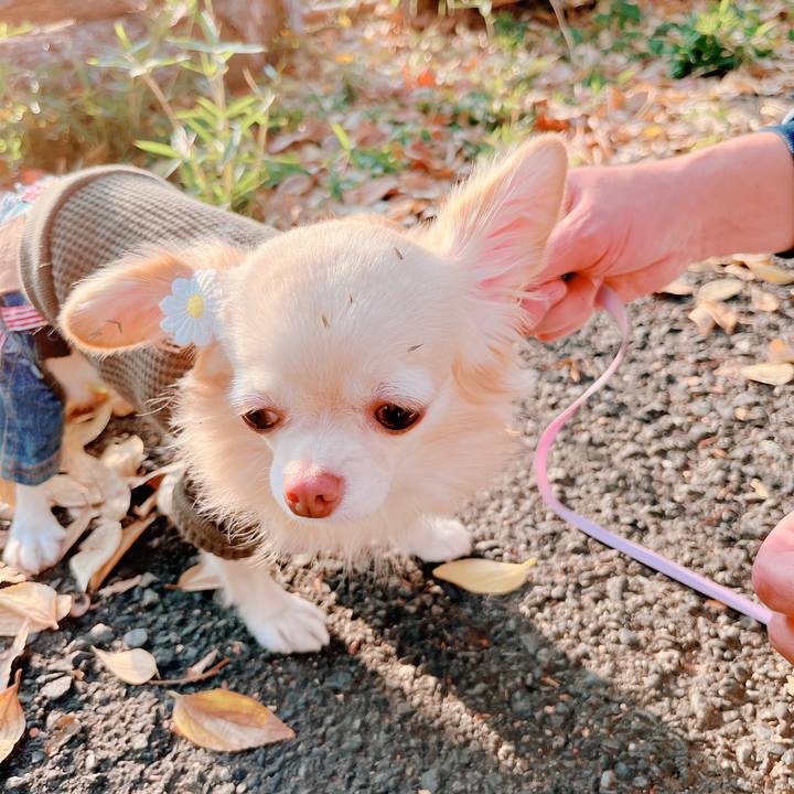 9c9a38ba c109 46e5 9b8c b85f0e2f7f38 1668247622122