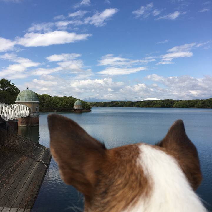 9c9aa786 fe53 4a7d 9652 0f6b41a8cf40 1650156390083