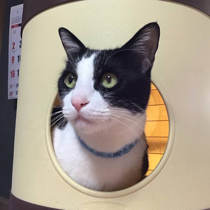 9c9aae0a 1b23 49e0 b895 54f5751c760e 1743067535731