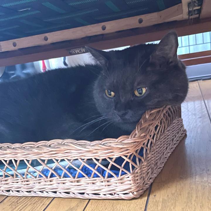 9c9abca2 4218 4b90 9e4f 5e4de1dfe008 1755812512837