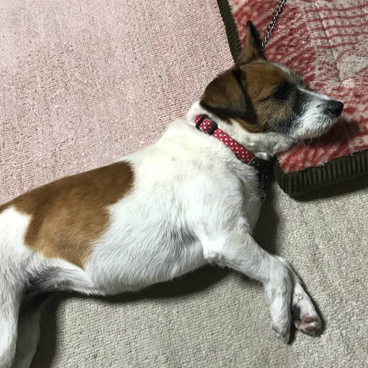 9c9abca9 e08b 4c18 bd24 9c70f90844e0 1546944803294