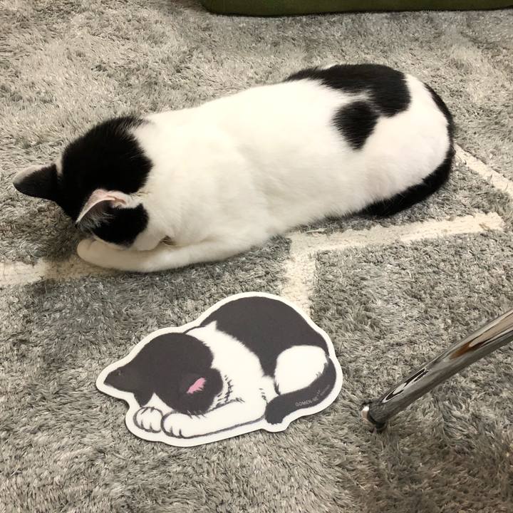 9c9ade9a c584 4fea bd0e 09b6dd4e85de 1573820424166