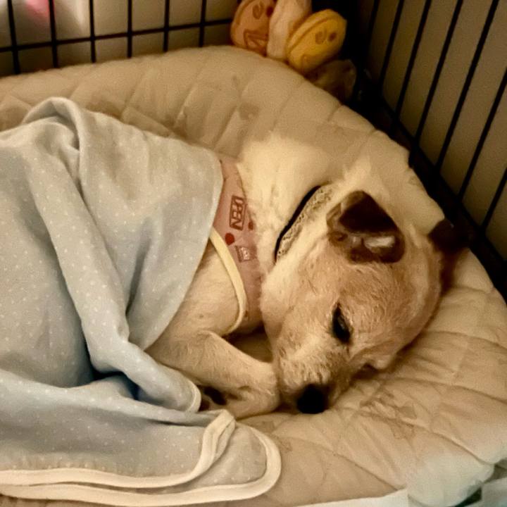 9c9afa58 2d71 4c85 b579 a5dd2ac80bea 1724890518973