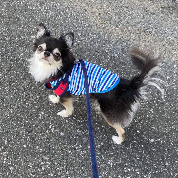 9c9b256f 57f7 46df 9bf5 3c98d24e70ca 1696693995662