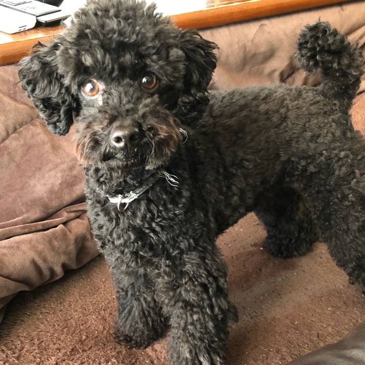 9c9b31df 7ea4 4b6f a3cf c537e467e94d 1552604143144