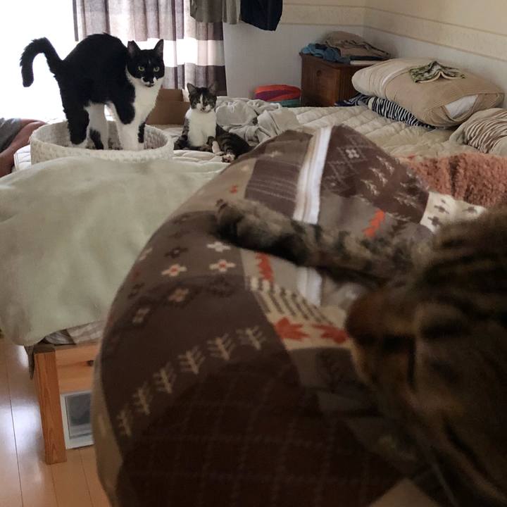 9c9b3b49 fcc6 438e 97c3 ce51b847d855 1563285055416