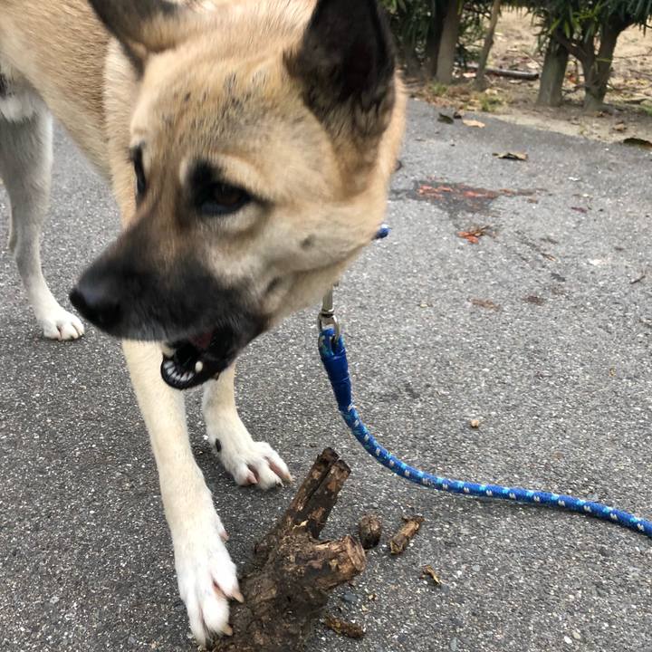 9c9b452c 8677 47c2 9049 d620fe91b89f 1543229318397