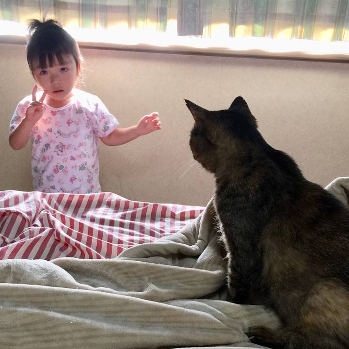 9c9b8159 9cd8 44f2 9a95 cd45a8ccd8d2 1564877929606