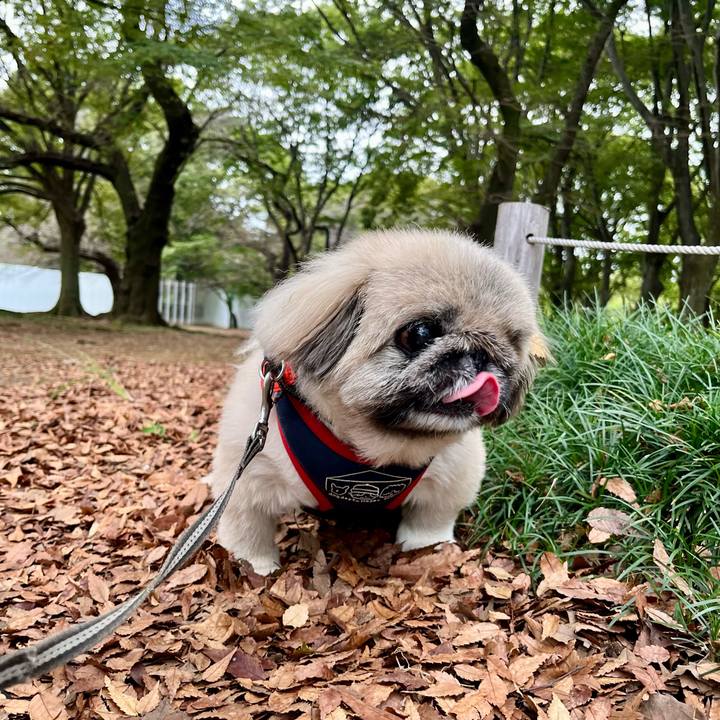 9c9b98fc fcda 475c 9da9 2f124d5a05aa 1757922317002