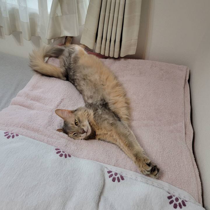 9c9bac36 a206 4cd3 894d 9c56903a6cfc 1652488410520