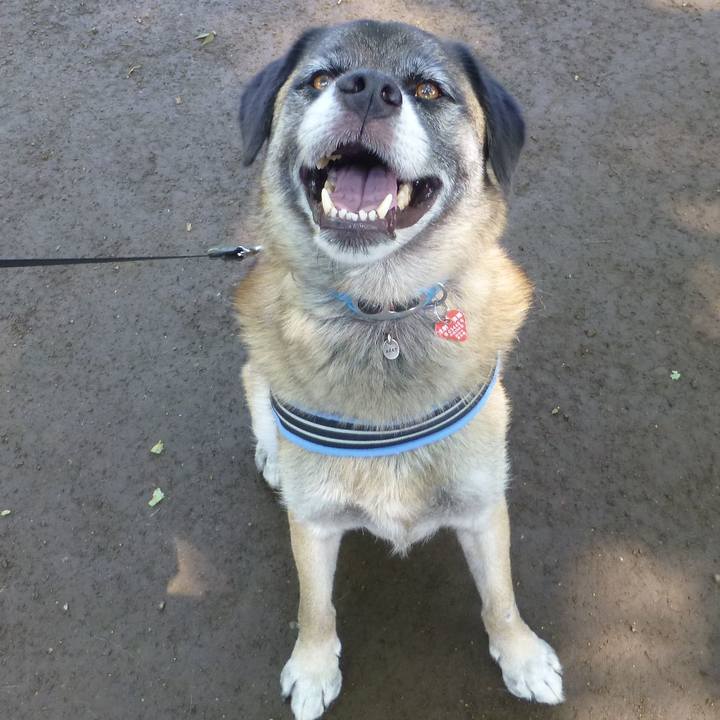 9c9bdb5a 79e3 4fb5 b8ba c2d645eae5e3 1580173198782