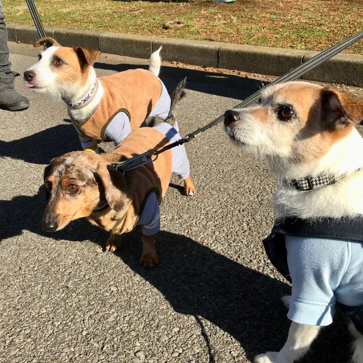 9c9c04e9 7036 4464 9d4e cb9818d236d5 1639888166591