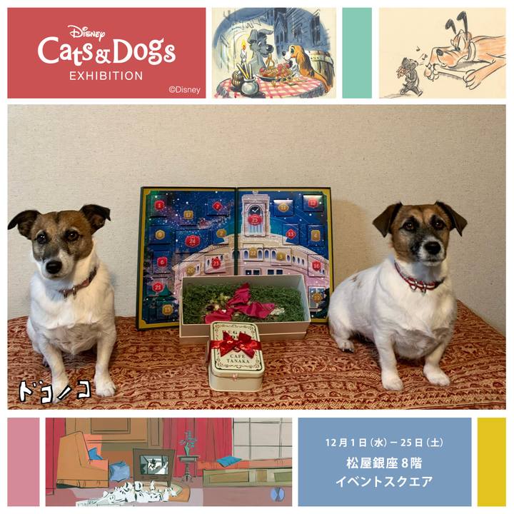 9c9c0c60 cd13 4ac1 93f0 3b06b2cef6f2 1638360232574