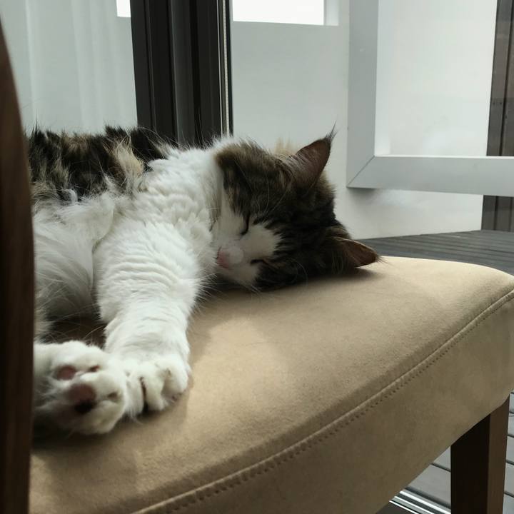 9c9c926e c6c0 4122 b485 222c1d4ca33a 1521348277355