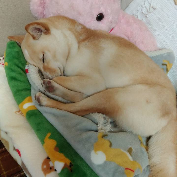 9c9cd908 9bbf 4d45 a90f ae10c69380c6 1520860676653