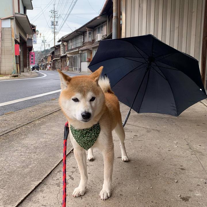 9c9cec35 b612 4af5 90f6 0b0720ecf4a3 1678005335651