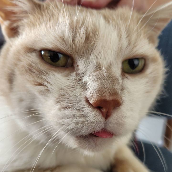 9c9d20e4 2208 4881 8f99 64cf5a0e3ba1 1742855232877