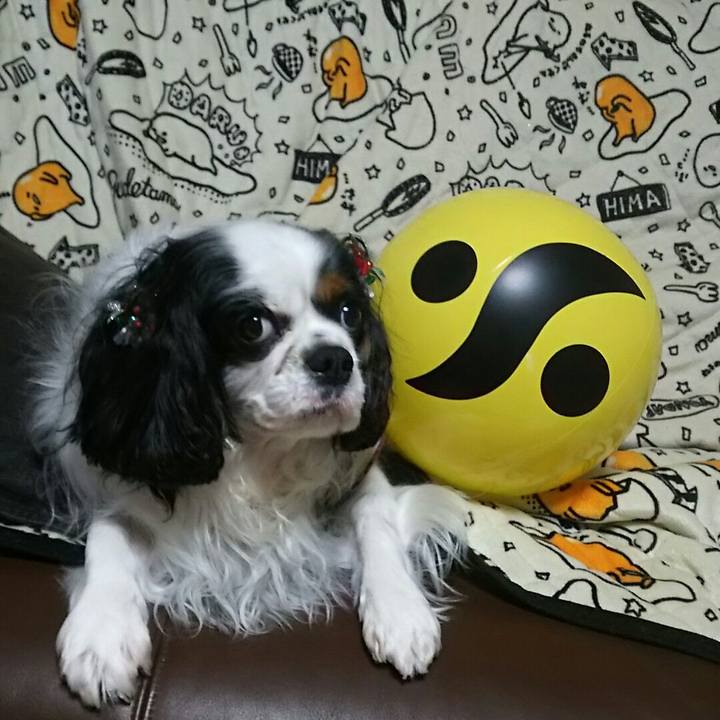 9c9d34da b930 4923 a2bc e87b3b969b74 1545832598350