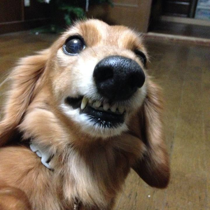 9c9d6ba4 c015 4b25 9e67 925037d191da 1531647380572