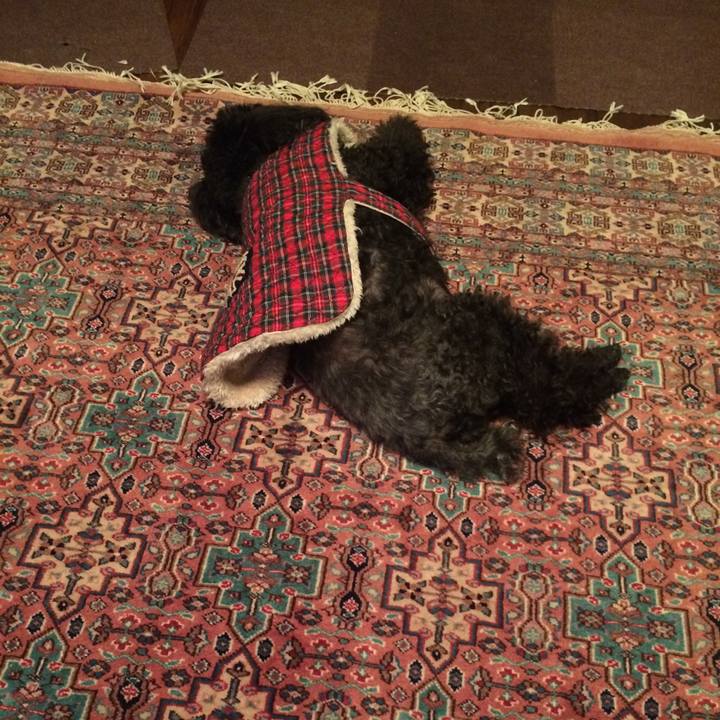 9c9d7d09 8609 4b38 8fdf b1adfed00e45 1514470039782