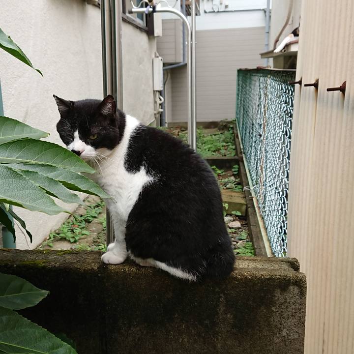 9c9d9026 a939 45cd 98ec 1032e7119a0e 1665373122631