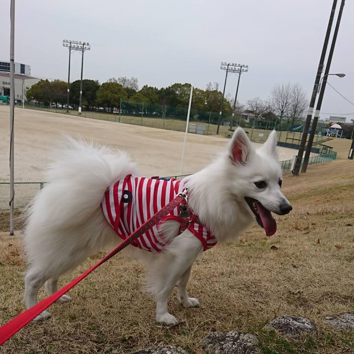 9c9db761 912e 4385 8e3b 265c4bb16cc6 1522128668038