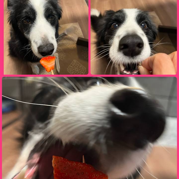 9c9df9cd 4335 413c bf03 55fe8e4dbc34 1770525845497