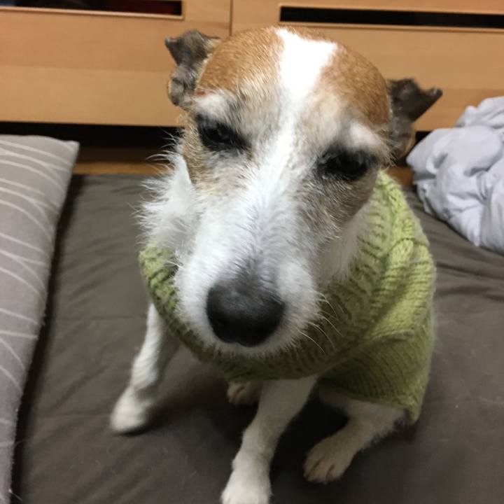 9c9dfbdc 3970 4d95 b8f9 23c81d118bdb 1643418560331