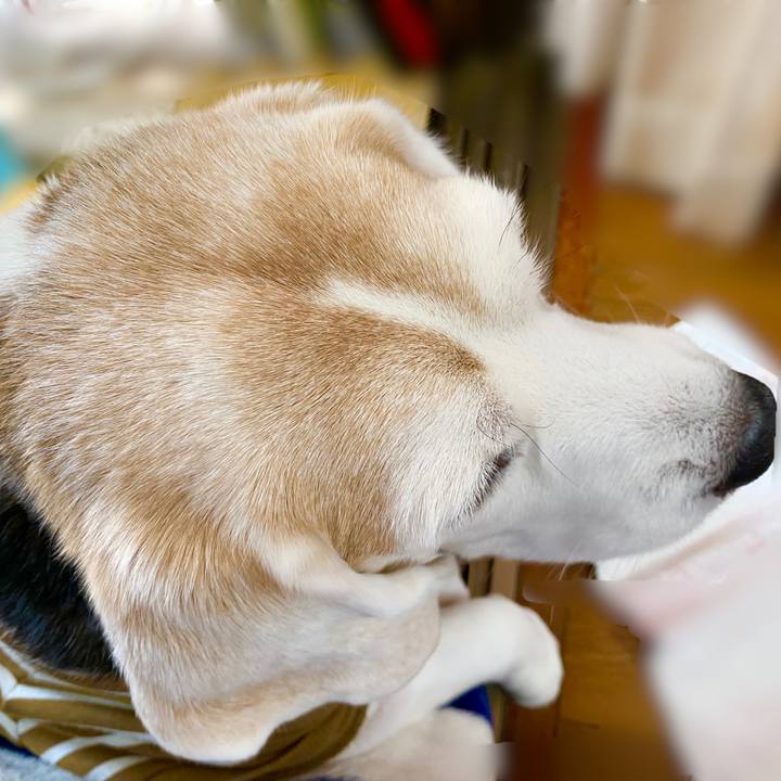 9c9e04dd 01b9 43f2 b223 c2c336d8489b 1644554895267