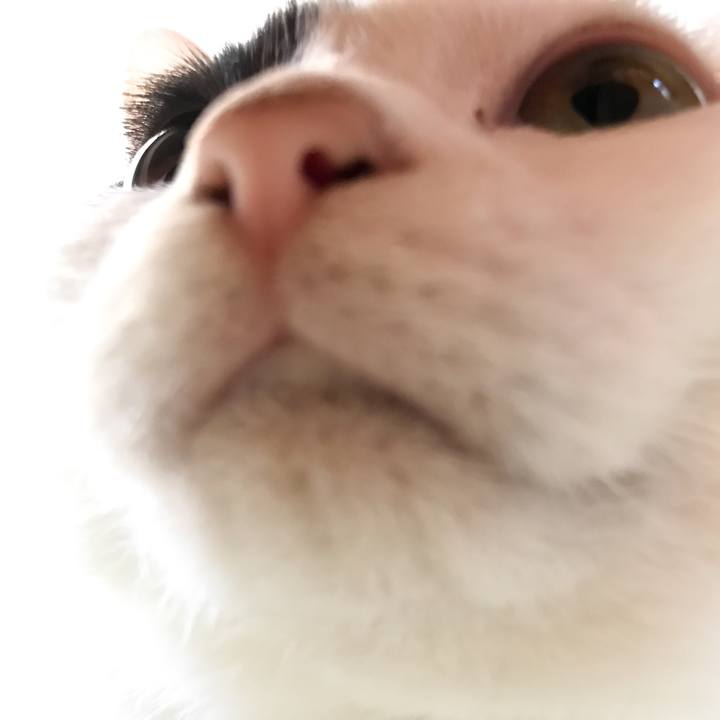 9c9e1f03 fd79 4ee0 804c 1e2a4ac0a39c 1533046982541