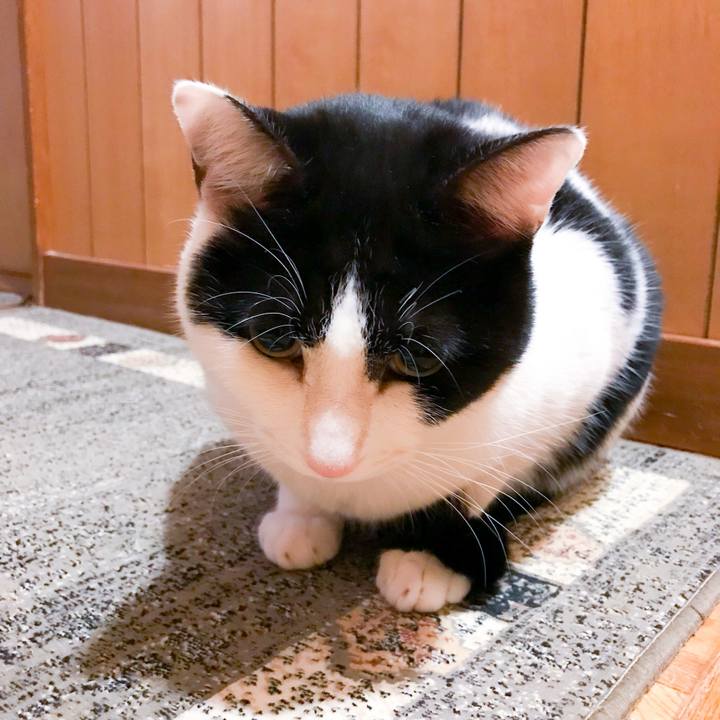 9c9e1f5c e2c5 4264 8ea3 eedefdde033a 1514948126865