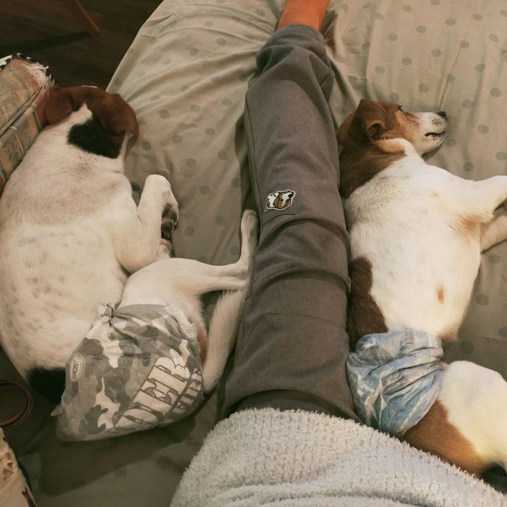 9c9e4aff 2cdb 49e7 a66d 0a506dad55ec 1771578605295