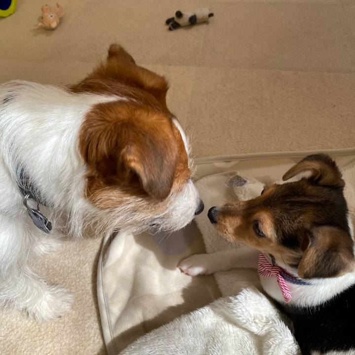 9c9e5820 64dc 4cf9 846f b79270aa7954 1743296535746