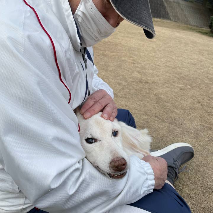 9c9e5bef 3ea5 4790 a6f1 fdf05680e3f1 1675943589101