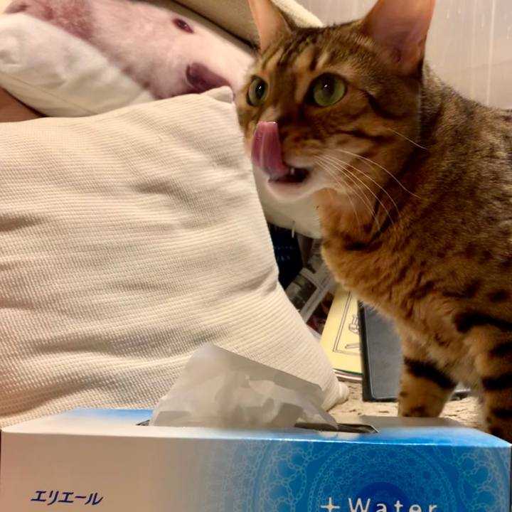 9c9e5e38 9b16 4fcd a0e7 ee1a13660072 1561067252506