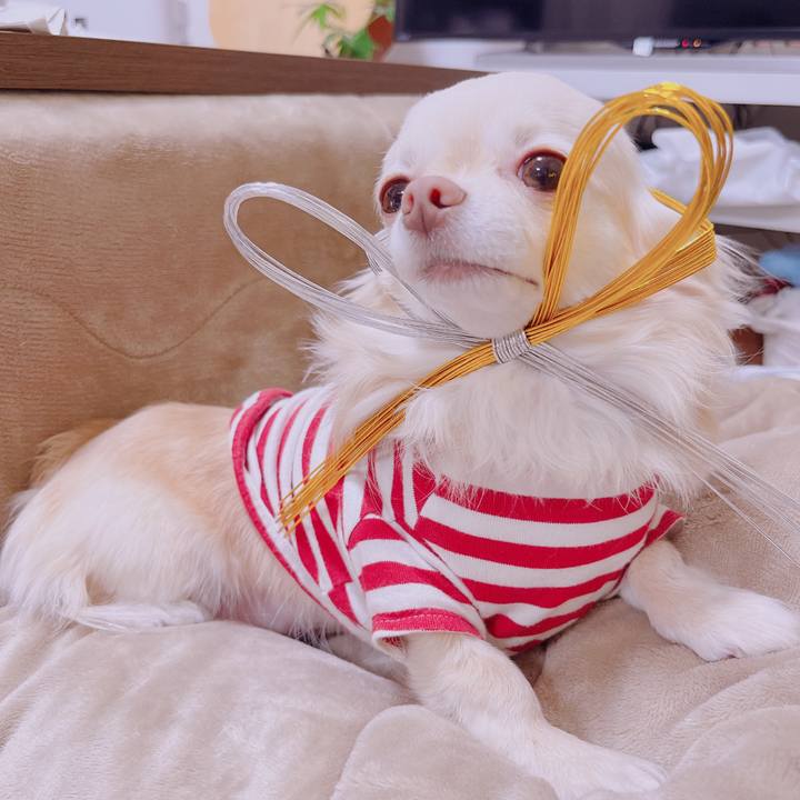 9c9e6374 8552 4ec3 ad04 25f6050c62af 1679229843977