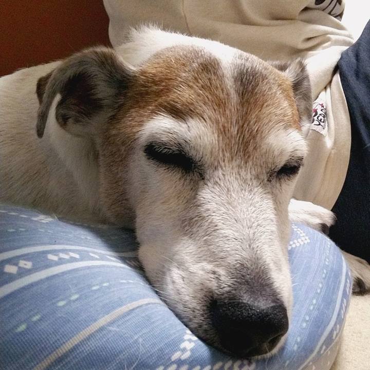 9c9e6573 4906 4c8a 9b4f 9ea3cd9f7817 1595729518872