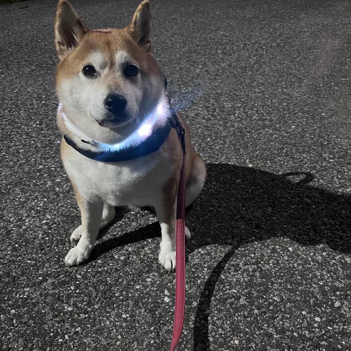 9c9e705c 828e 4d91 9edd b36d2365e484 1702717644422